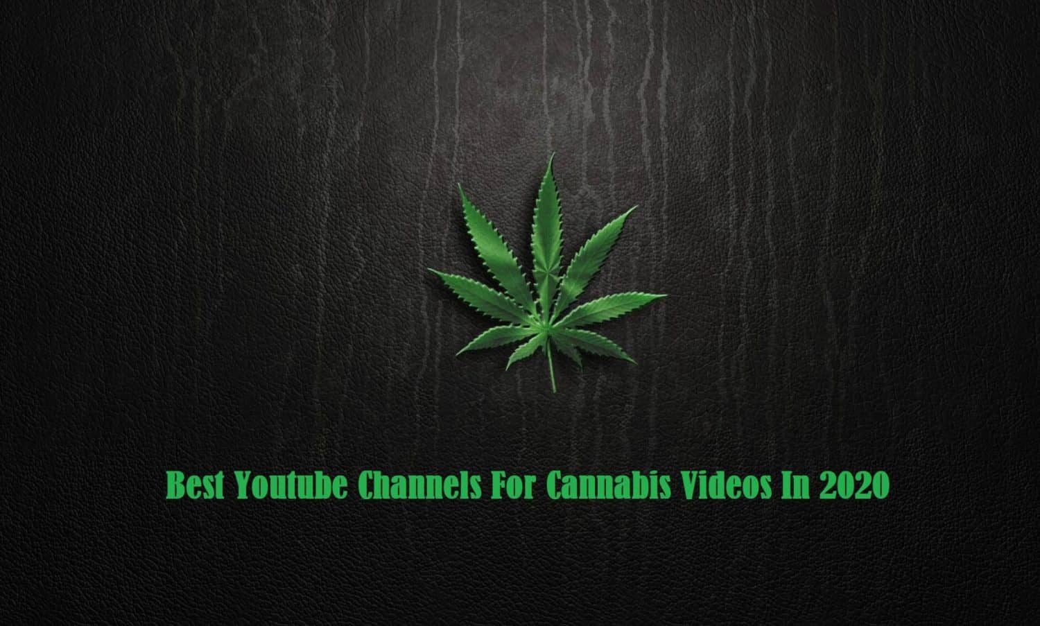 видео про марихуану на ютубе